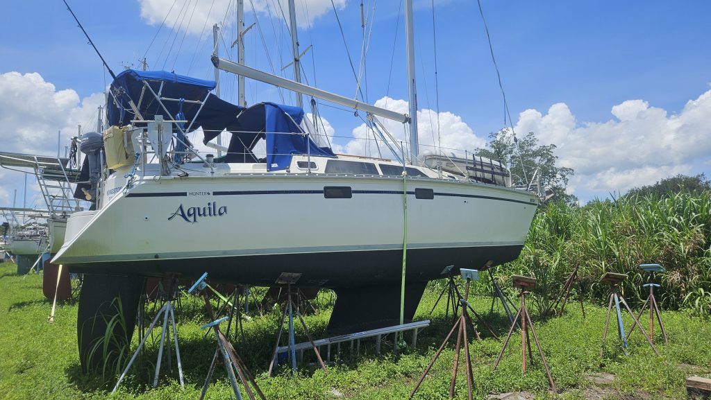 Aquila