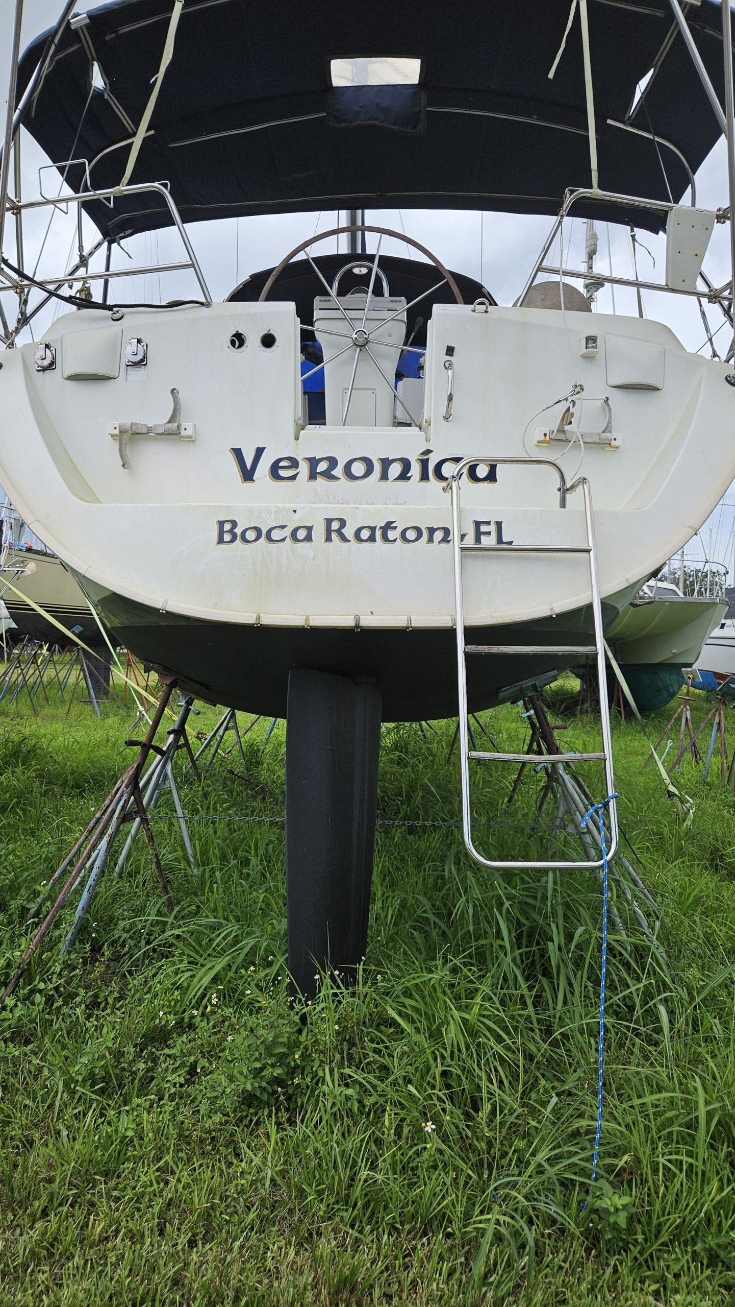 Veronica