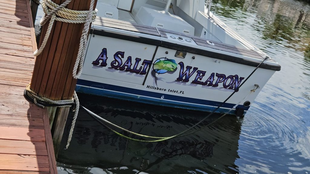 A Salt Weapon A Salt Weapon