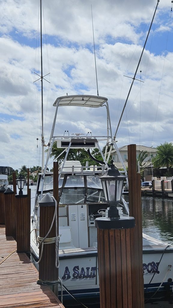 A Salt Weapon A Salt Weapon