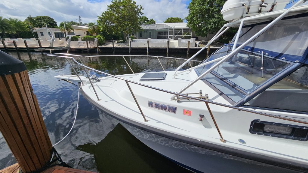 A Salt Weapon A Salt Weapon