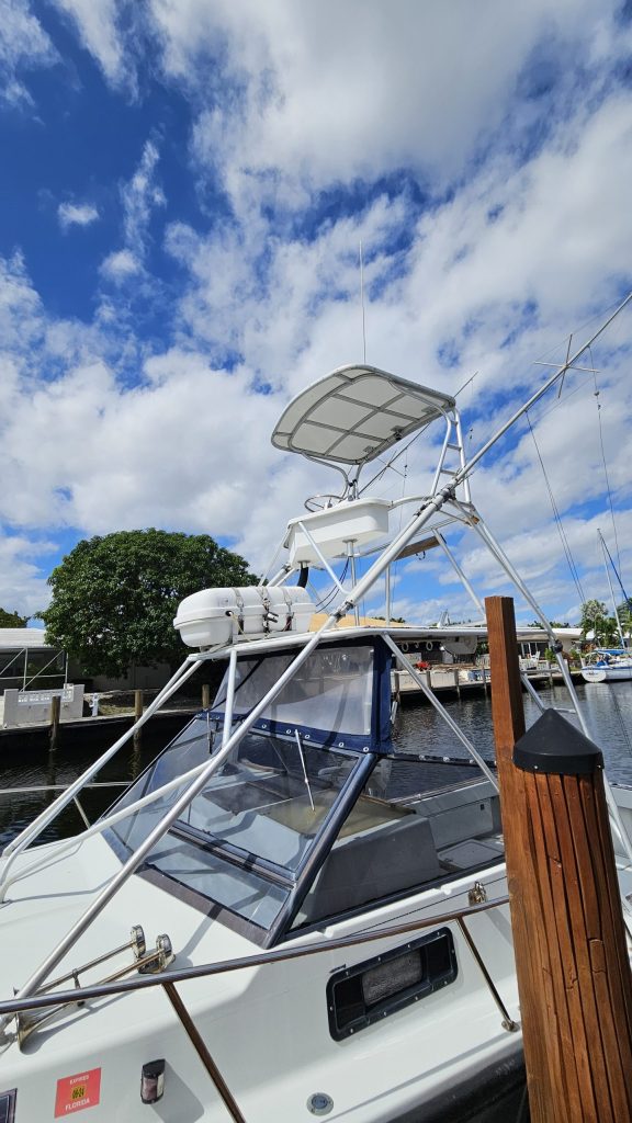 A Salt Weapon A Salt Weapon